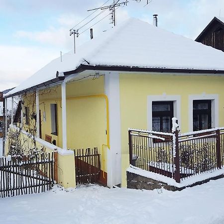 Lately Renovated Country House Trencin Exterior photo
