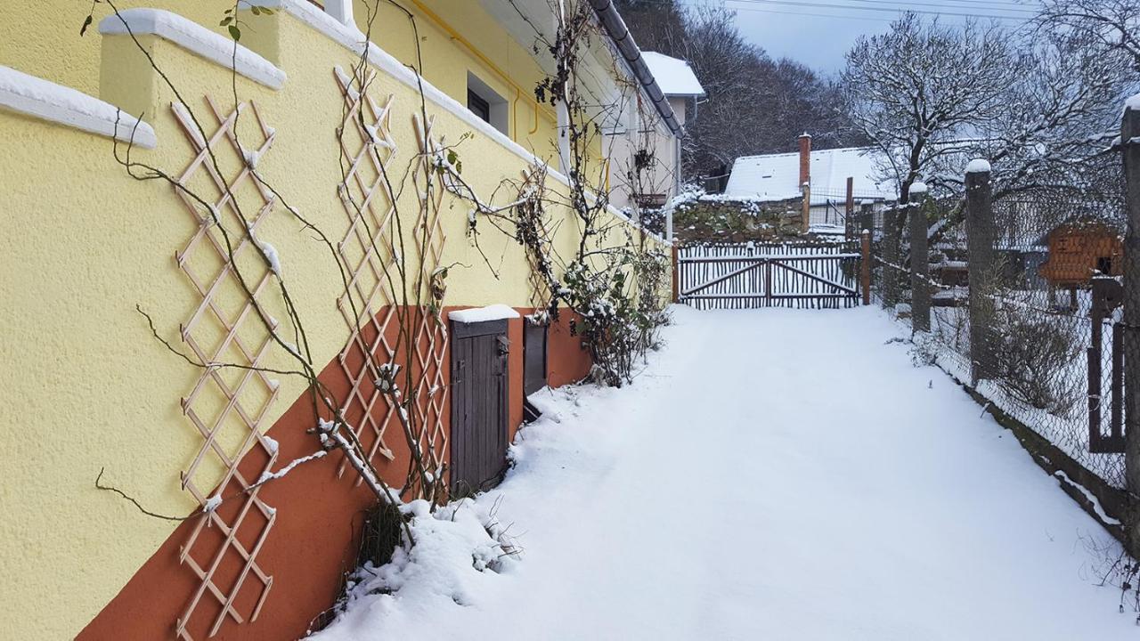 Lately Renovated Country House Trencin Exterior photo