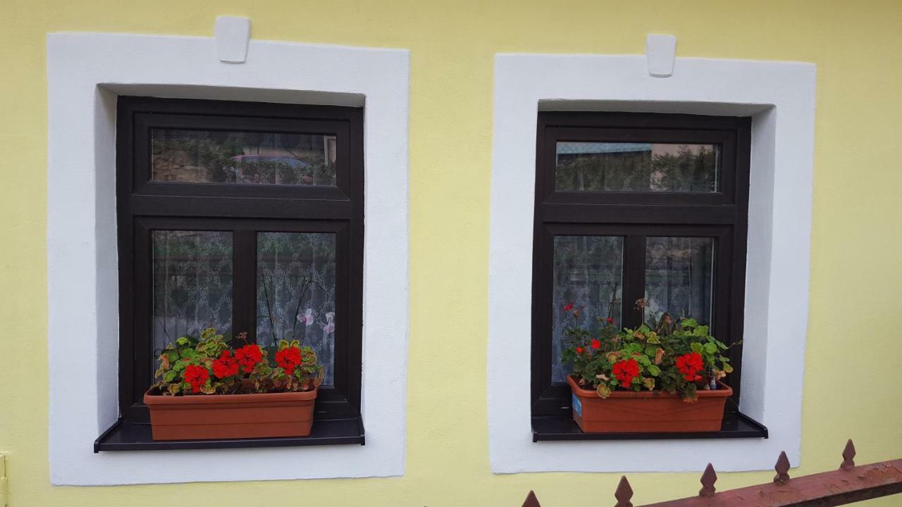 Lately Renovated Country House Trencin Exterior photo
